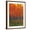 Brown Frame, variant on Art.com Changing Colors II Art Print by Tim O'toole, 24" x 32"