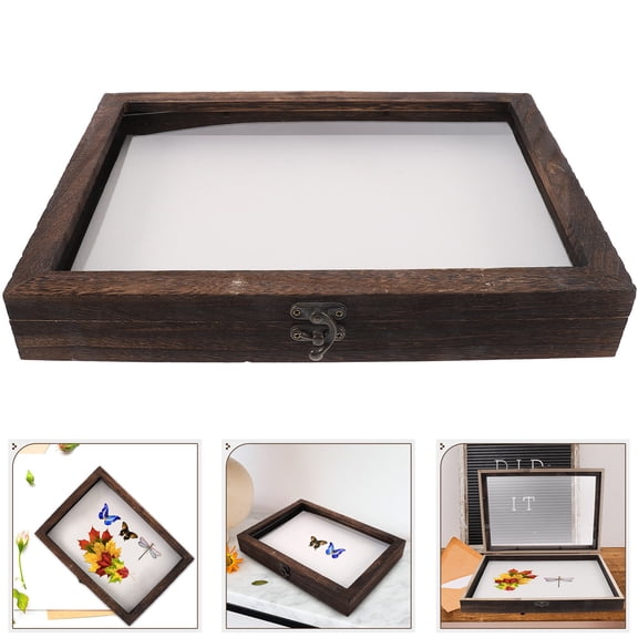 FELTECHELECTR Insect Specimen Display Case Assorted Color 1Set 12.2X8.7X1.6In