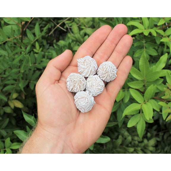 5 Desert Rose Selenite Stones (0.75"- 1.5" Crystal Healing Love Stone) Rock Bud