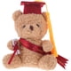 thumbnail image 1 of KAKOWELY Mini oso de graduación, oso de flores, ramo de decoración, regalo de graduación, 1 of 5