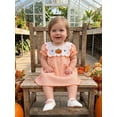 thumbnail image 5 of BemeyourBBs Toddler Baby Girls Halloween Dress Outfit Infant Baby Girl Summer Fall Plaid Gingham Dress Pumpkin Ghost Embroidered Crew Neck Puff Short Sleeve Holiday Party Dress, 5 of 9