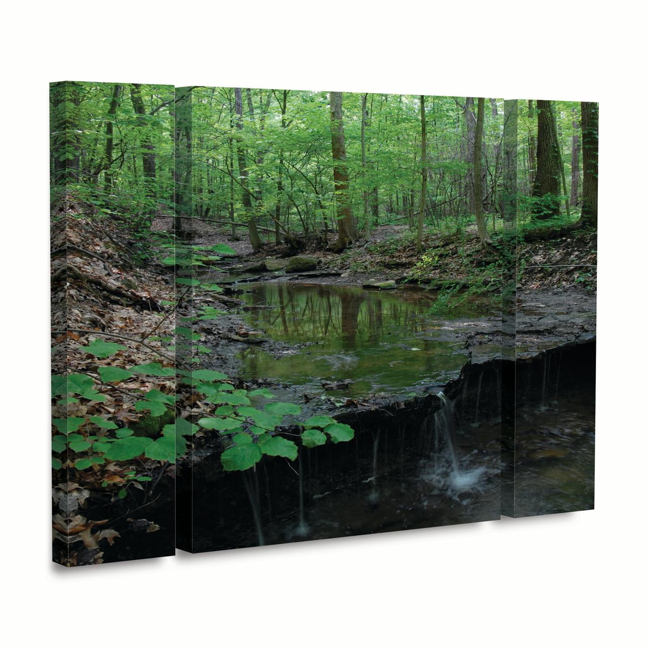 Trademark Fine Art 'Tiny Forest Falls' Canvas Art by Kurt Shaffer