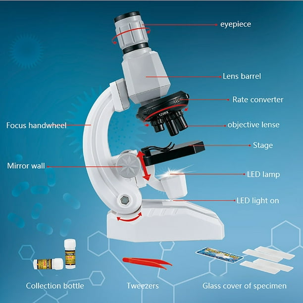 Microscope éducatif 100 à 1200x pour enfant • Enfant World