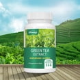 thumbnail image 5 of Extracto de té verde: aumenta la energía, quema grasas, controla el apetito, estimula el metabolismo, es antioxidante - 120 s, 5 of 5