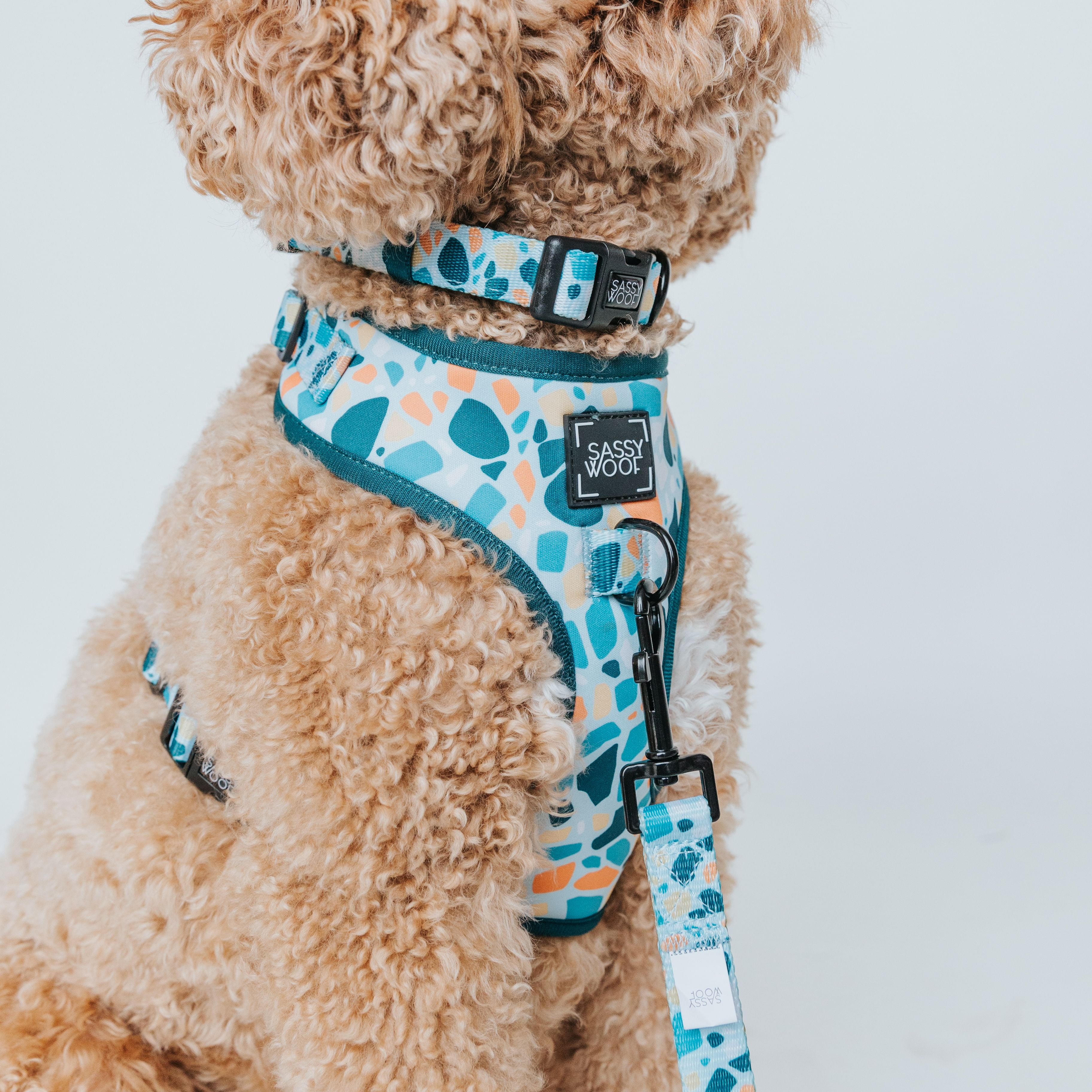 Sassy Woof Cushioned Adjustable Dog Collar- Blue Terrazzo, Small
