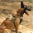 thumbnail image 2 of Correa De Pecho Táctica P/perros ,nylon Ajustable Con Mango, 2 of 8
