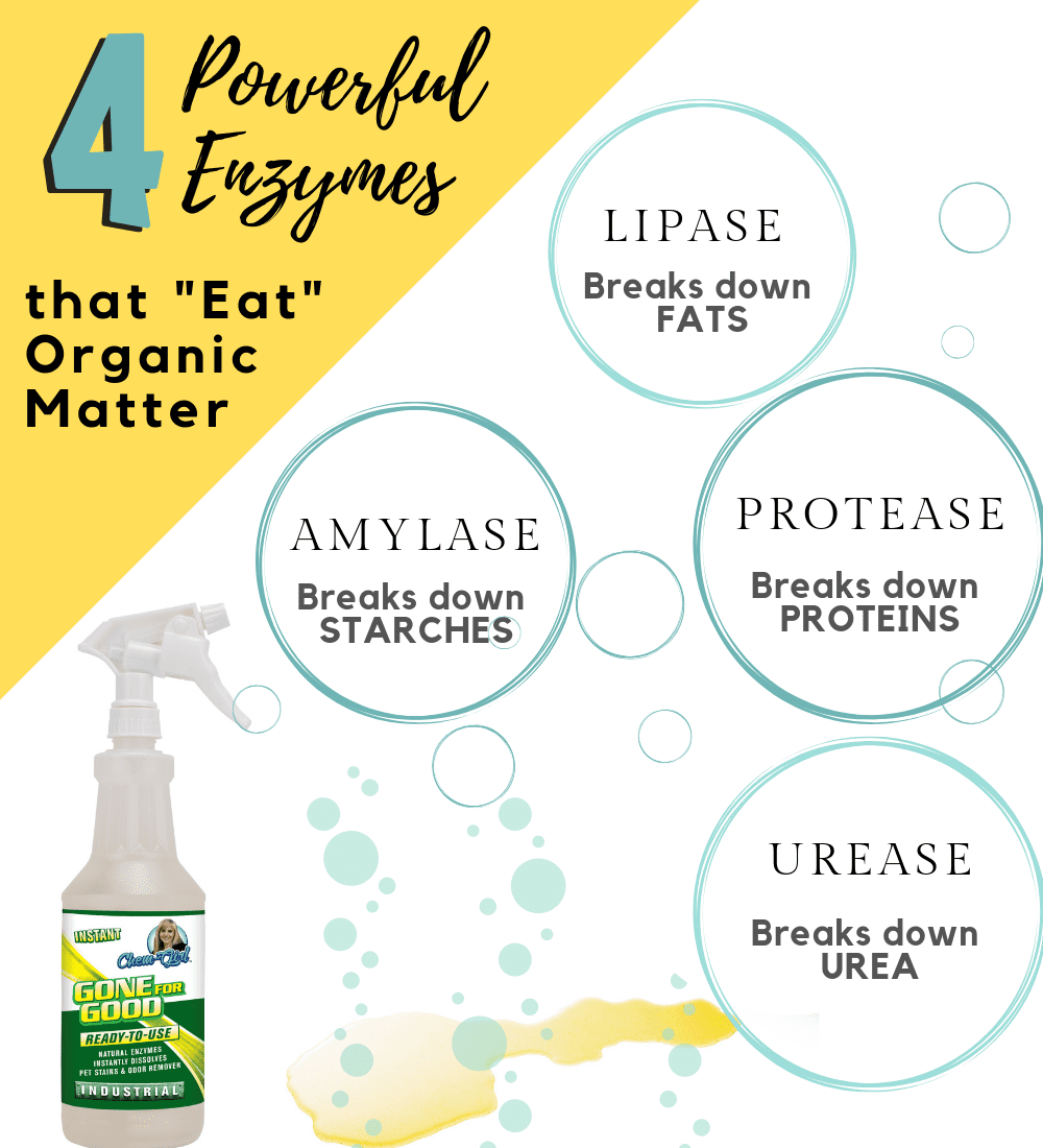 GONE FOR GOOD  - Professional Enzymatic Urine, Stain & Odor Remover