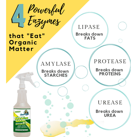 GONE FOR GOOD - Professional Enzymatic Urine, Stain & Odor Remover