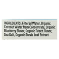 thumbnail image 3 of Nooma Organic Blueberry Peach Electrolyte Drink, 16.9 oz [Pack of 12], 3 of 3