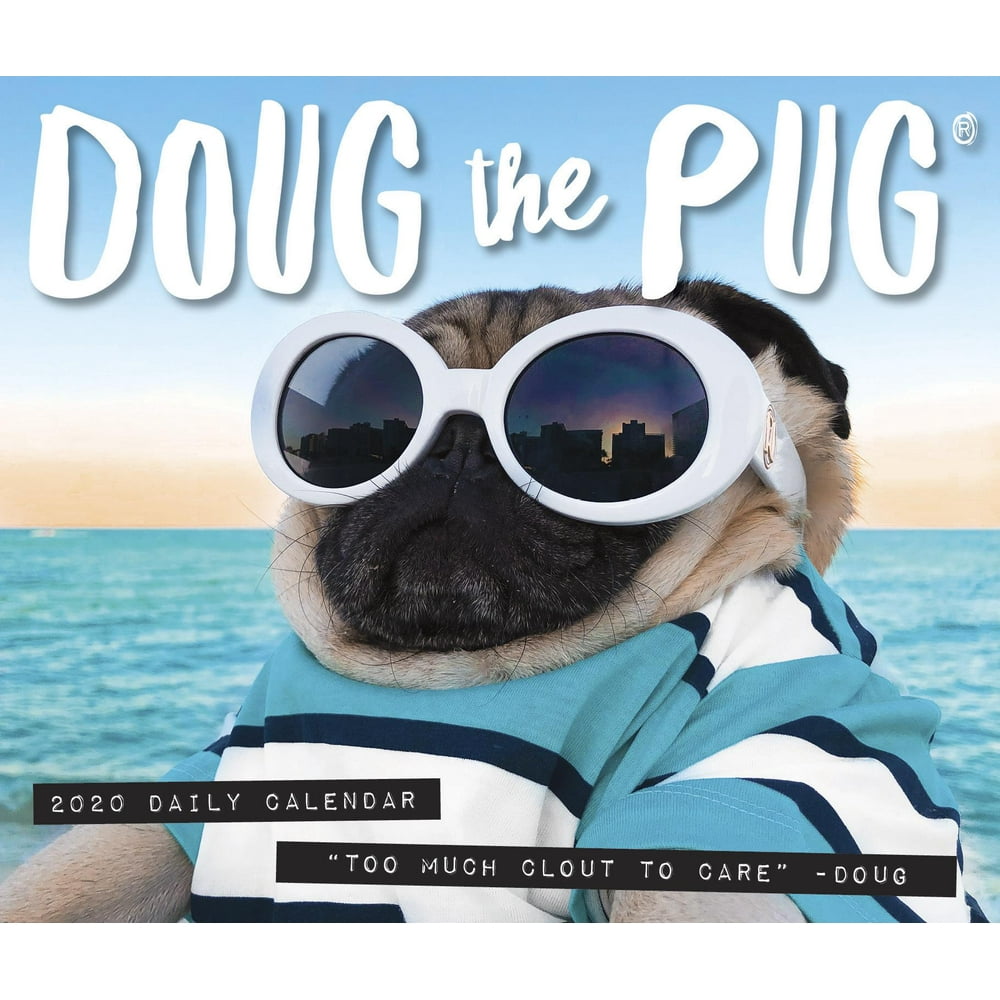 Doug the Pug 2020 Box Calendar (Dog Breed Calendar) (Other) Walmart