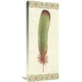 thumbnail image 1 of Global Gallery's Daphne Brissonnet 'Feather Tales VI' Stretched Canvas Wall Art, 1 of 4