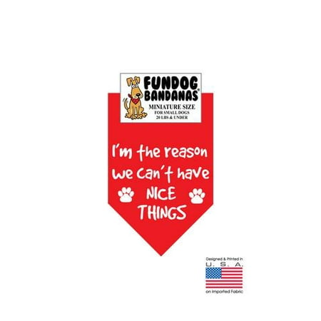 MINI Fun Dog Bandana - I'm the Reason we Can't Have Nice Things - Miniature Size for Small Dogs under 20 lbs, red pet