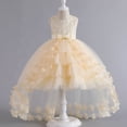 thumbnail image 2 of Vestido de niña Vestido de noche Vestido de cola Vestido de princesa sin mangas Falda de globo Falda de pastel Vestido de noche Disfraz, 2 of 5