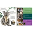 thumbnail image 3 of Brainy Creatures : le Koala, 3 of 5