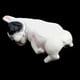 thumbnail image 5 of 2 Piezas De Plástico Animal Niño Juguete Mascota Perro Modelo Coleccionables, 5 of 9