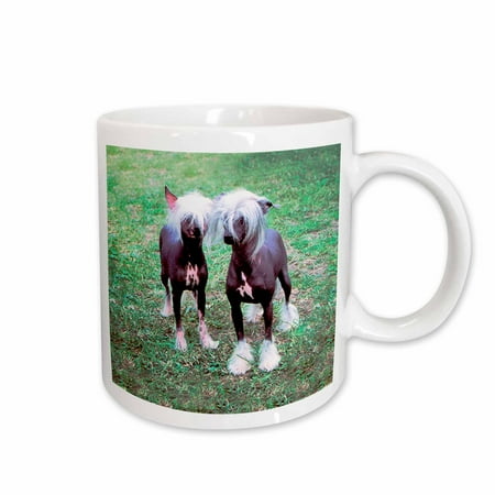 

3dRose Chinese Crested Hairless Ceramic Mug 11-ounce