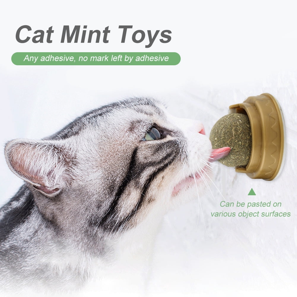 rotating cat mint ball