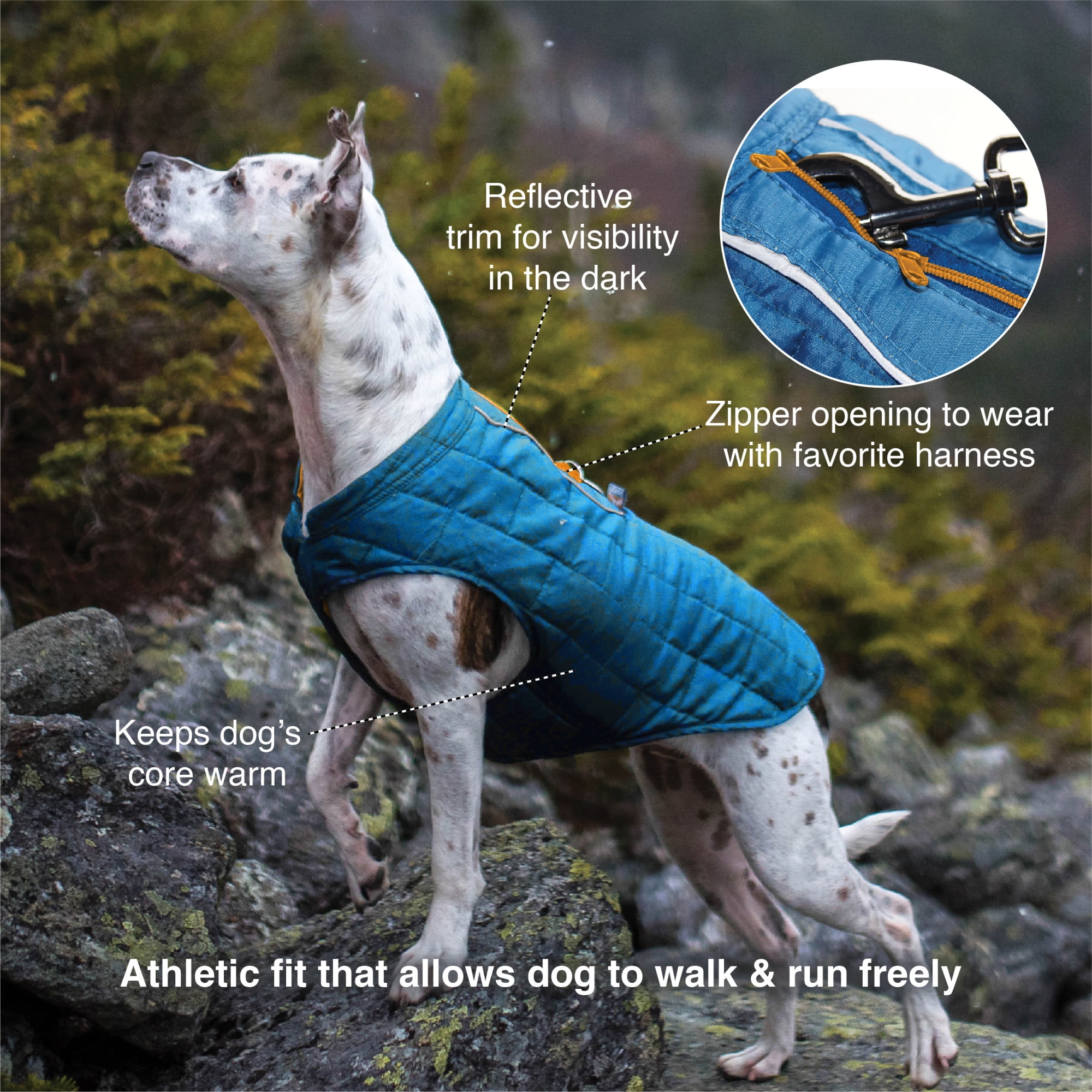 Kurgo Loft Dog Jacket, Reversible Dog Coat, Wear with Harness or Sweater, Water Resistant, Reflective, Winter Coat For Small Dogs (Ink Blue, XS)