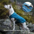 Kurgo Loft Dog Jacket, Reversible Winter Coat for Dogs, Reflective
