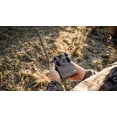 thumbnail image 3 of TACTACAM Reveal X Gen 2.0 LTE Cellular Trail Camera + Tree Mount, 3 of 6
