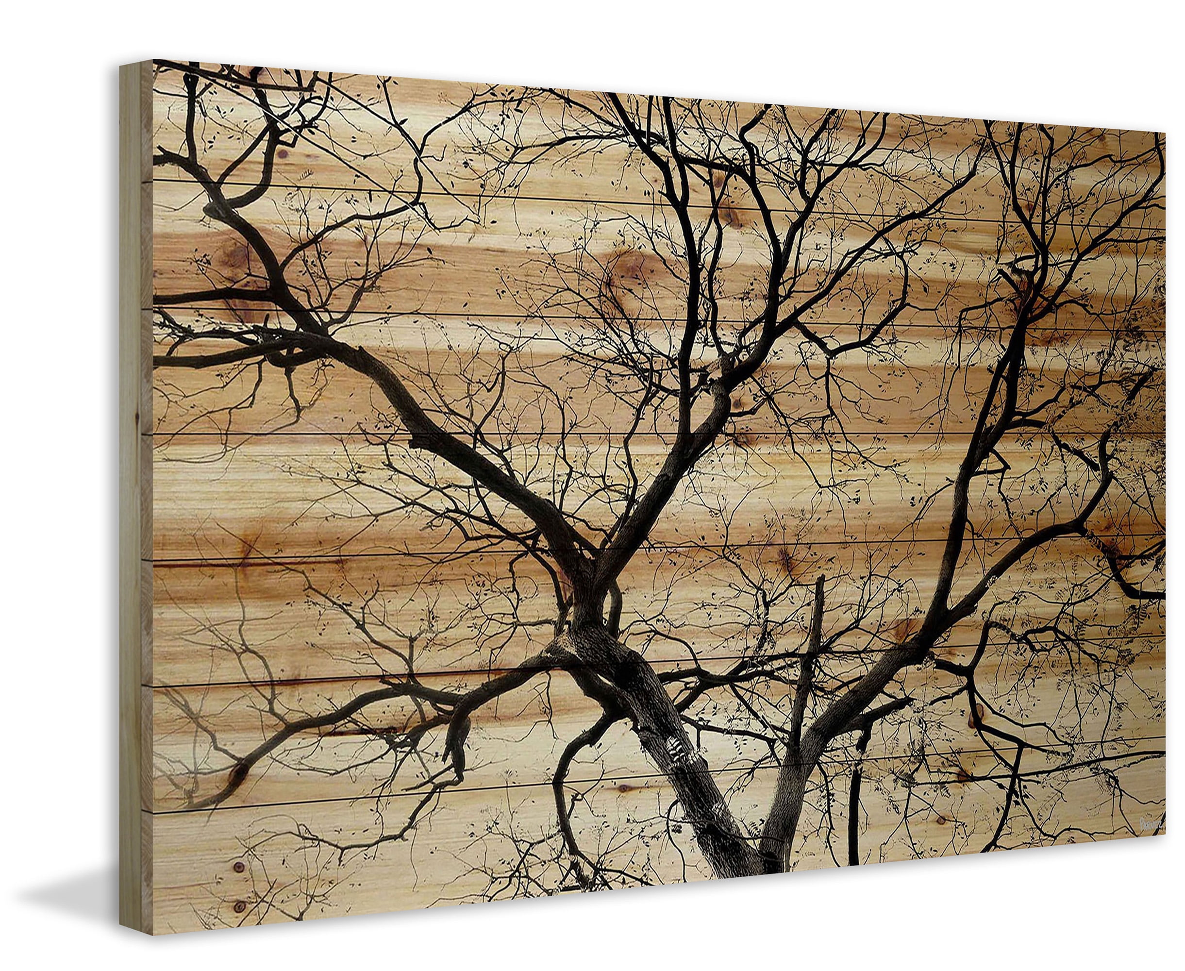 Parvez Taj Branching Out III Pinewood Wall Art, 12" x 18"
