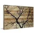 thumbnail image 2 of Parvez Taj Branching Out III Pinewood Wall Art, 12" x 18", 2 of 7
