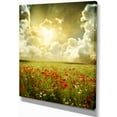 thumbnail image 2 of Wild Poppies on Cloudy Background - Extra Large Landscape Canvas Art, 2 of 3