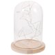 thumbnail image 1 of Glass Dome Lamp Bell Jar Display Dome Wooden Base String USB LED Warm White Light Bedside Table Lamp with LED Warm Fairy Starry String Lights (Warm Wh, 1 of 4