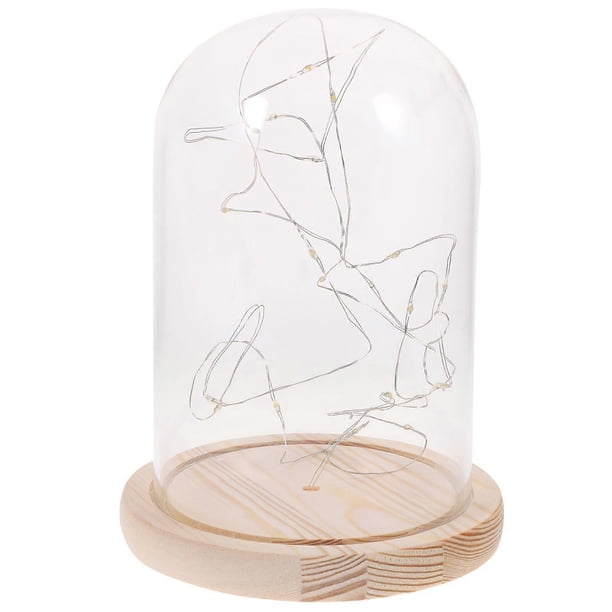 Glass Dome Lamp Bell Jar Display Dome Wooden Base String USB LED Warm White Light Bedside Table Lamp with LED Warm Fairy Starry String Lights (Warm Wh