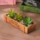 thumbnail image 2 of 6 pc Macetas de plantas en maceta de balcón suculento de madera maciza macetas rectangulares bonsái caja de madera dividida, 2 of 5