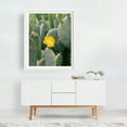 thumbnail image 2 of New Mexico Cactus II - Albuquerque New Mexico Photography Cactus Botanical Desert Nature Floral Garden Summer White Framed Wall Art Print 9 x 12 inches, 2 of 3