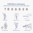 thumbnail image 4 of FrostHike Resistance Bands Set for Exercise- 1Pack Resistance Heavy Duty Workout Workouts Fitness Bands(1Pc-15lb), 4 of 5