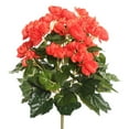 thumbnail image 1 of Orange Begonia Floral Bush - 15.25 in., 1 of 1