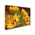 thumbnail image 3 of Trademark Fine Art "Four Sunflowers" Canvas Art by Mandy Budan, 3 of 4