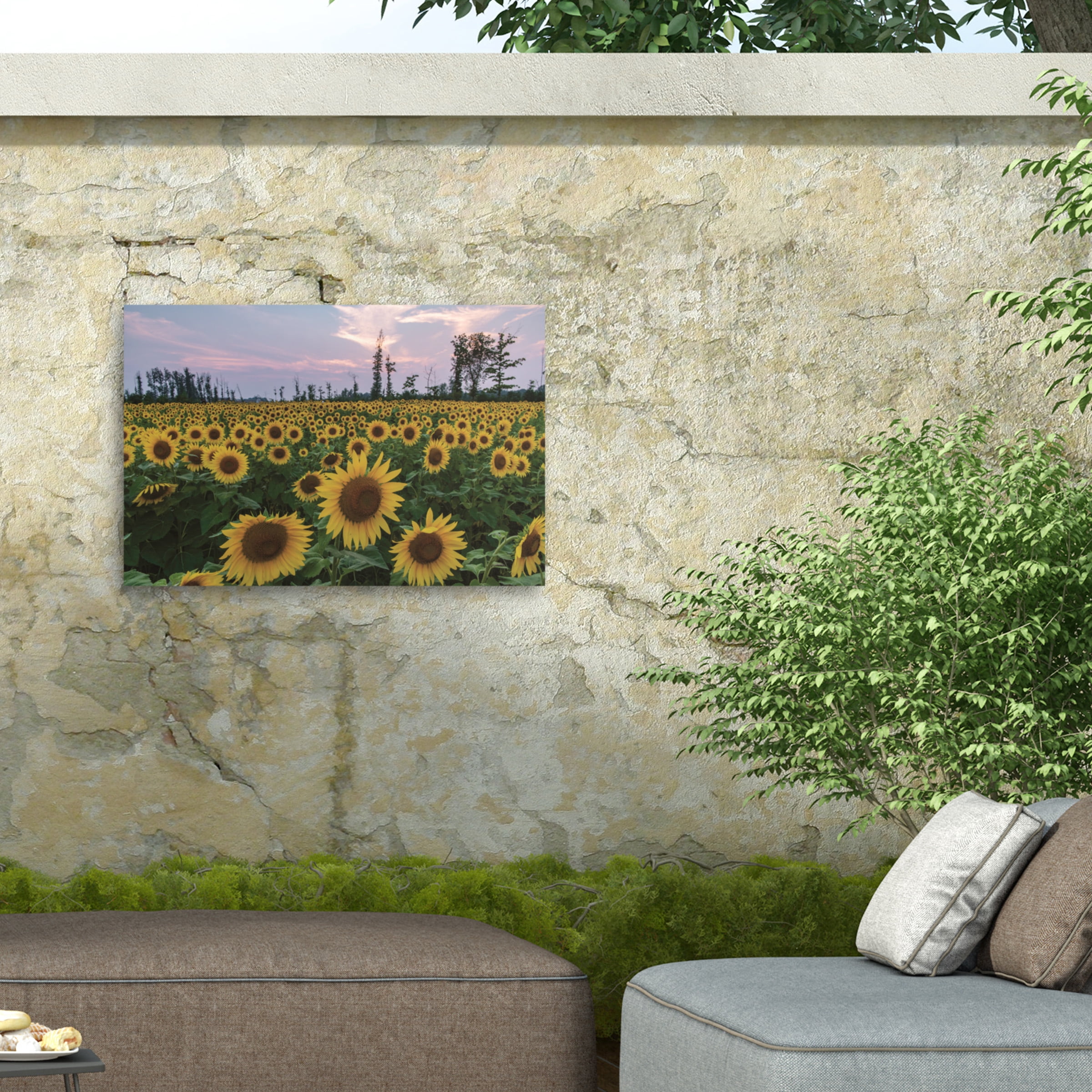 Kurt Shaffer 'Sunflowers Of Hope' Outdoor Canvas 16x24