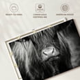 thumbnail image 6 of Elephant Stock Long Haired Highland Cow Wall Art - Horizontal Canvas Wall Art - Living Room Wall Decor - Animal Canvas - Black And Gray Decor - 51" x 34", 6 of 8