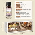 thumbnail image 5 of EUQEE 6Pcs Fragrance Oils Spice Set for Diffuser, Candle Scent Oils, Sandalwood, Harvest Spice, Gingerbread, Pumpkin Pie, Bay Rum, Snickerdoodle (10Ml), 5 of 12