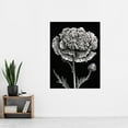thumbnail image 2 of Black and White Linocut Carnation Flower Print Extra Large XL Wall Art Poster Print, 2 of 3