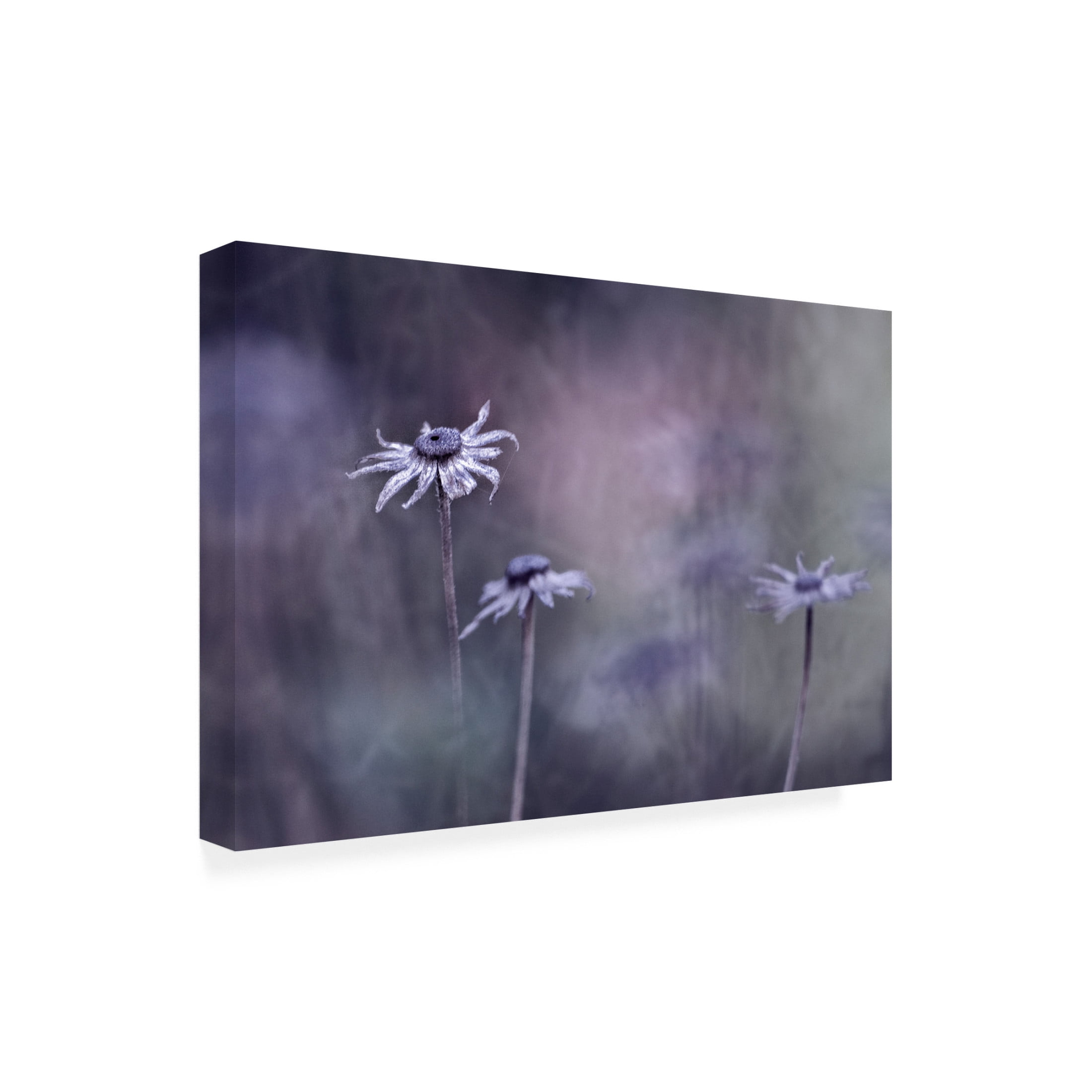 Canvas Wall Art - Bernadette Heemskerk 'End Of Season' Wall Art for Living Room, Bedroom, or Office D?cor by Trademark Fine Art - 47 x 30 Inches