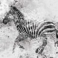thumbnail image 2 of Robinson, Carol 12x12 White Modern Wood Framed Museum Art Print Titled - Zebra II, 2 of 4