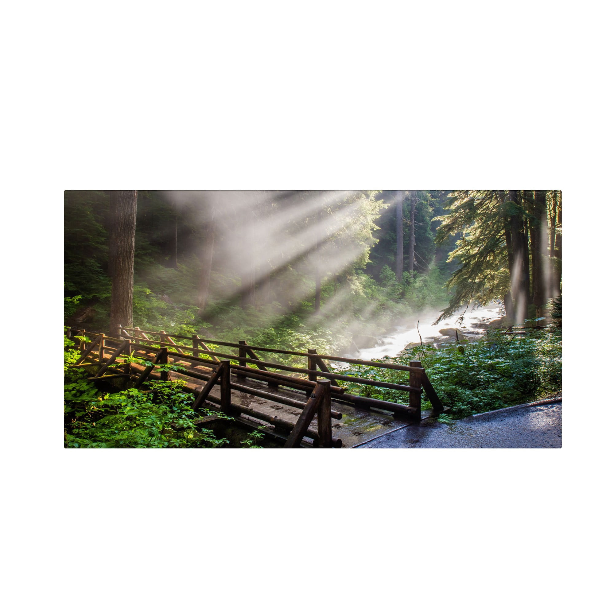 Trademark Fine Art "Forest Sunlight" Canvas Art by Pierre Leclerc