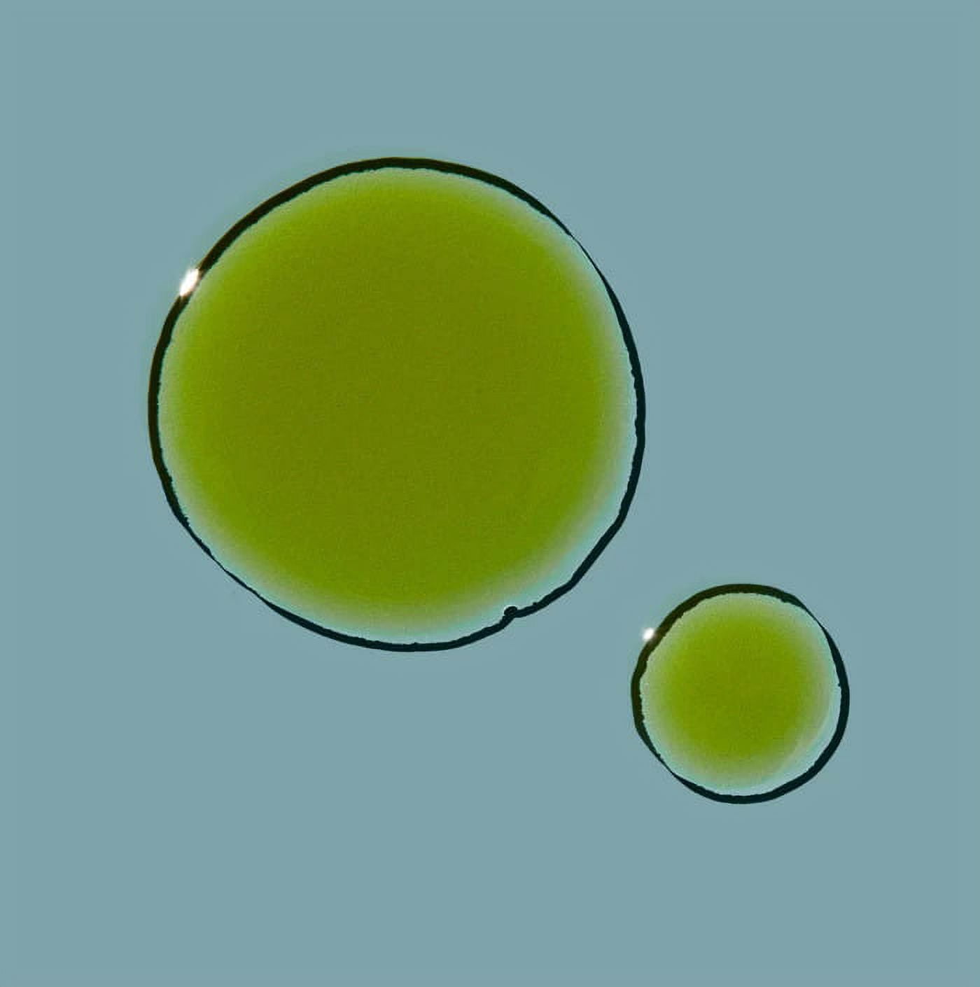 Ode To Self De Palma Hydrating and Clarifying Facial Oil 1 oz
