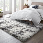 Cshidworld Area Rugs for Living Room Bedroom, 5x8 Ultra Soft Comfy Fluffy Thickened Memory-Foam Indoor Carpets, Modern Minimalist Carpet for Teen Adults Bedroom Home Decor, Tie-Dyed Dark Grey