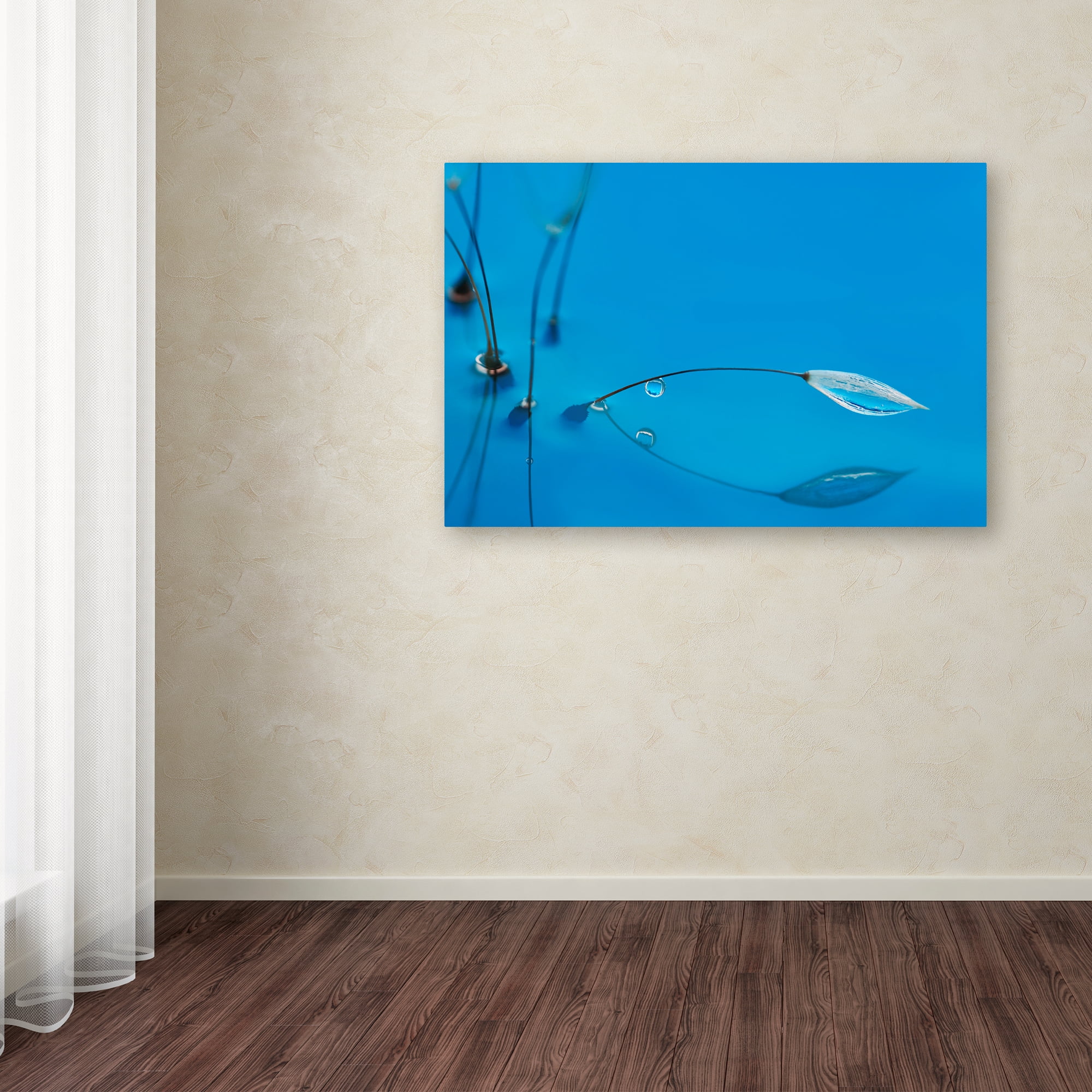 Trademark Fine Art 'Blue Water' Canvas Art by Heidi Westum