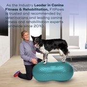 FitPAWS® TRAX™ Balance Peanut | Dog Exercise Equipment for Fitness & Rehabilitation | Workout Tool for Strength, Core & Stability – 60cm/24, Blue