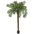 thumbnail image 5 of Nearly Natural 7' Cycas Palm Artificial Tree, 5 of 5