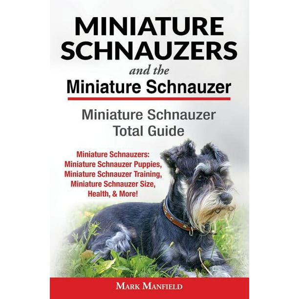 Miniature Schnauzers And The Miniature