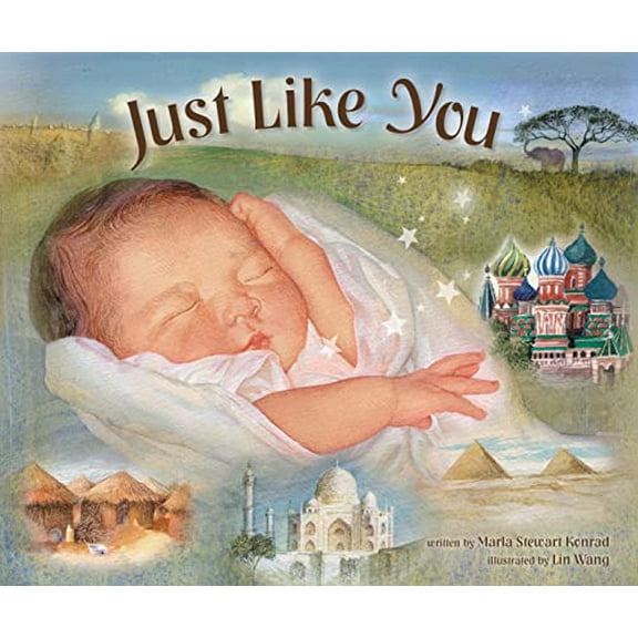 Pre-Owned Just Like You (Hardcover) 0310714788 9780310714781