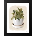 thumbnail image 2 of House Fenway 19x24 Black Modern Framed Museum Art Print Titled - House Plant III, 2 of 5