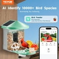 thumbnail image 3 of Smart Bird Feeder with 2K HD Camera & AI Recognition - Solar Powered for Continuous Operation, 3 of 7